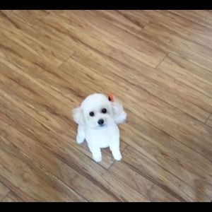 Meet your Posher, Nadine